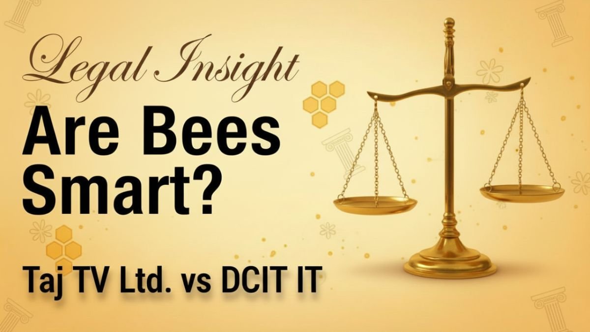 Taj TV Ltd. v. DCIT IT (2024)